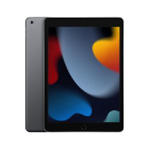 Apple iPad 10.2 Wi-Fi 64 GB Grau - 10,2" Tablet - A13 25,9cm-Display